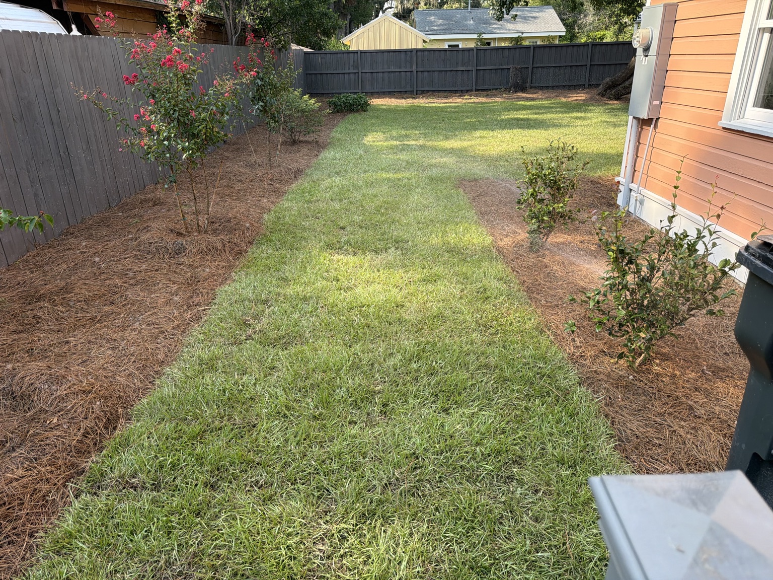 Fresh sod and finished landscaping